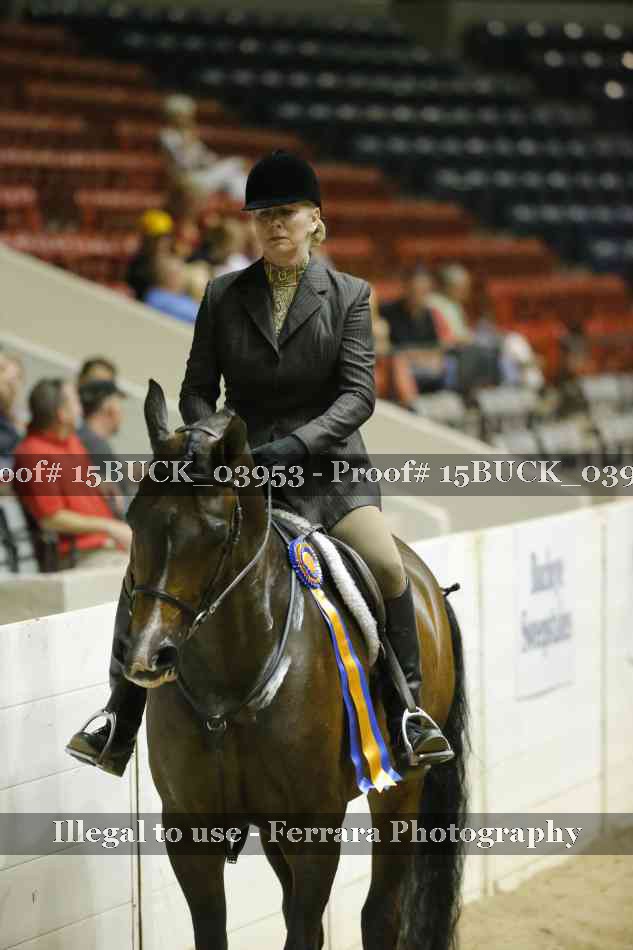 Proof 15BUCK_03953