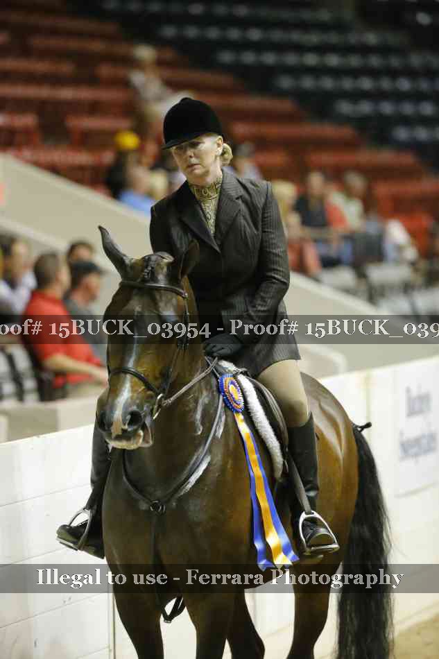 Proof 15BUCK_03954