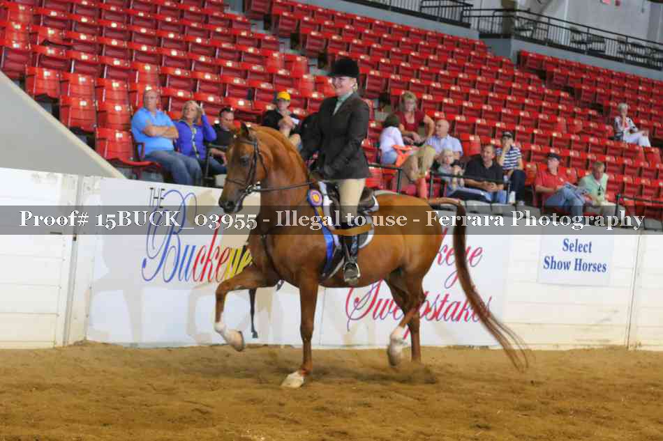 Proof 15BUCK_03955