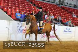 15BUCK_03955 proof