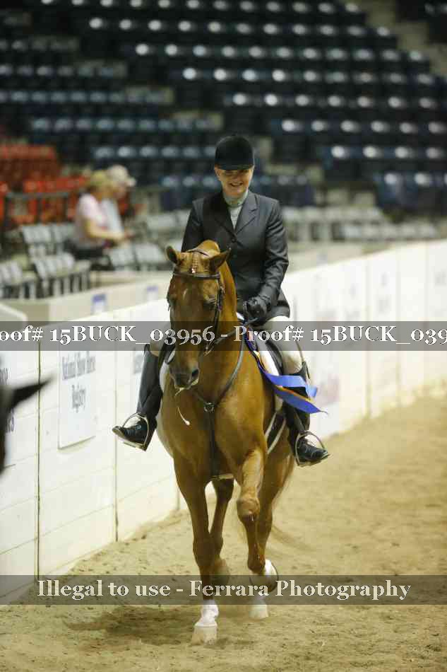 Proof 15BUCK_03956
