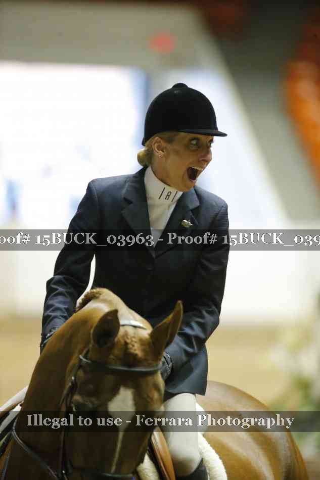 Proof 15BUCK_03963