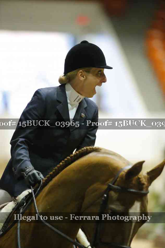 Proof 15BUCK_03965