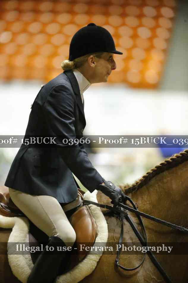 Proof 15BUCK_03966