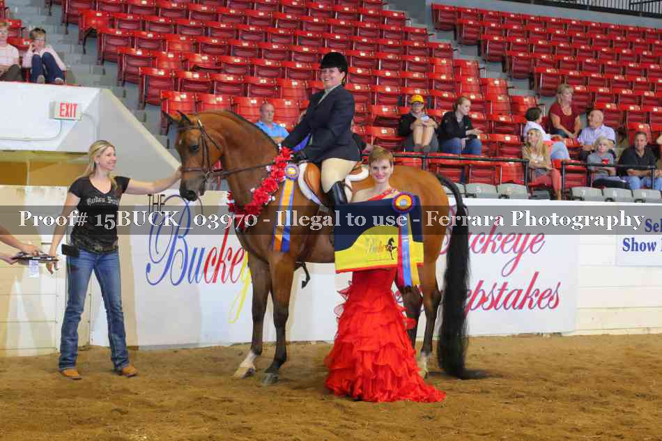 Proof 15BUCK_03970
