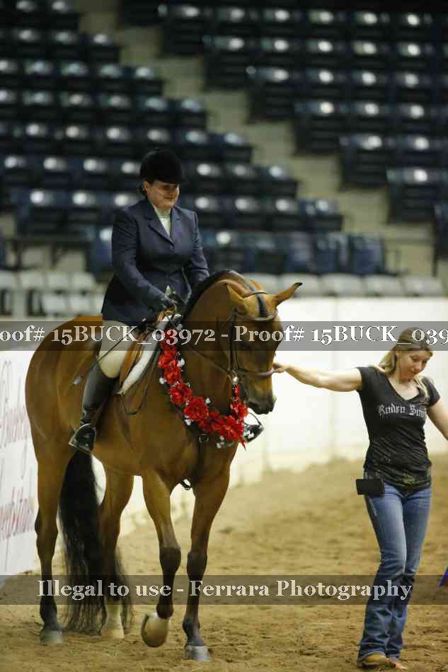 Proof 15BUCK_03972