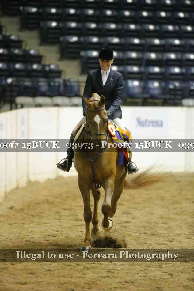 Proof 15BUCK_03973