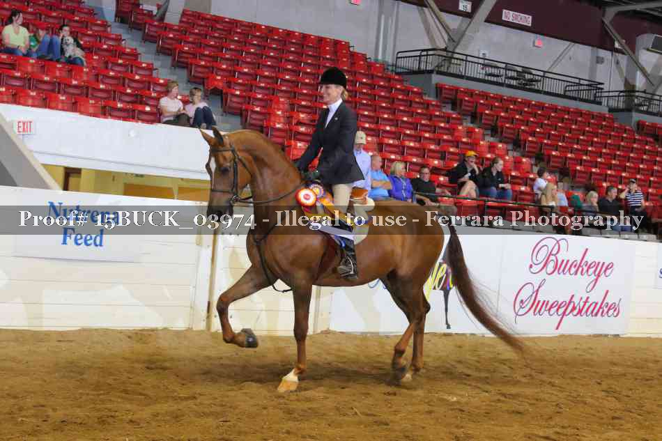 Proof 15BUCK_03974