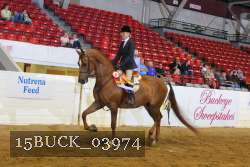 15BUCK_03974 proof