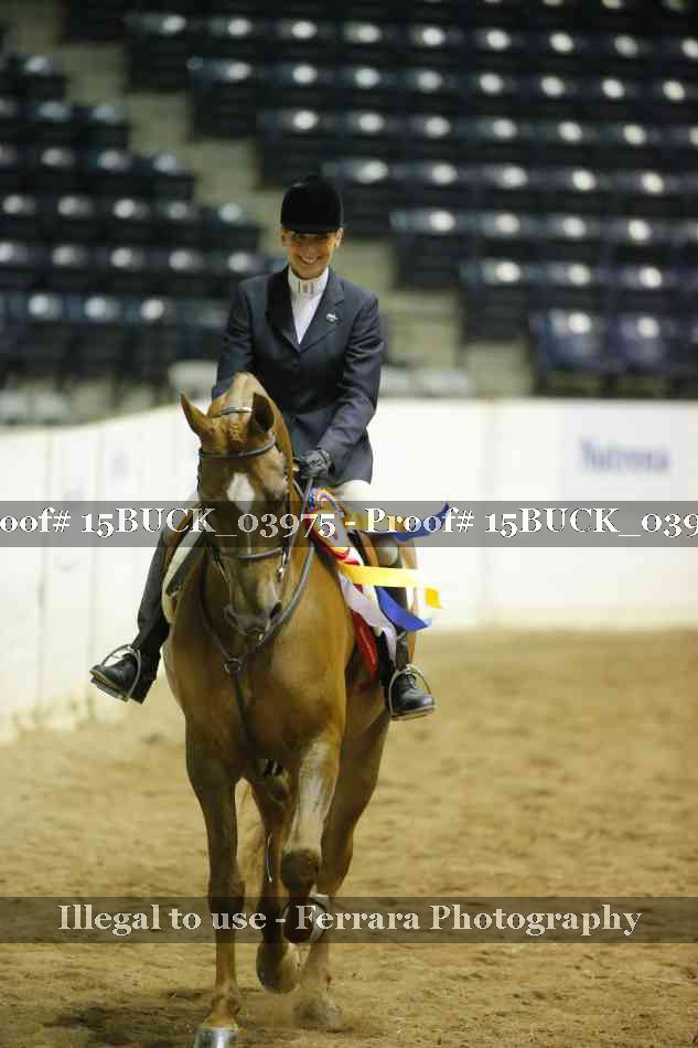 Proof 15BUCK_03975