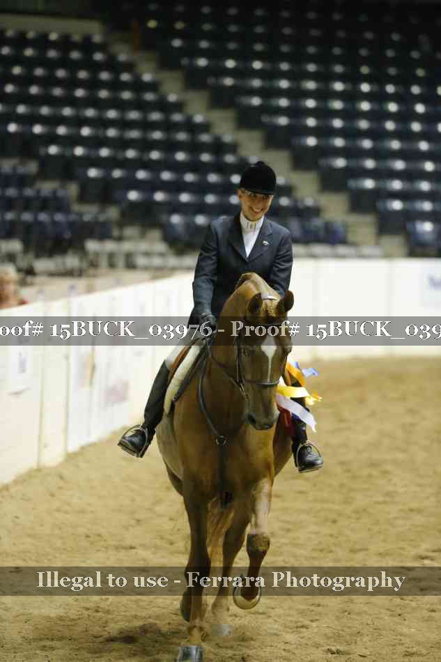 Proof 15BUCK_03976