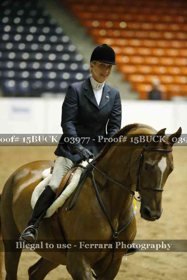 Proof 15BUCK_03977
