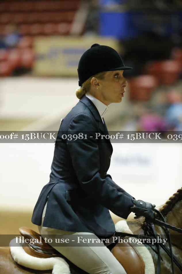 Proof 15BUCK_03981