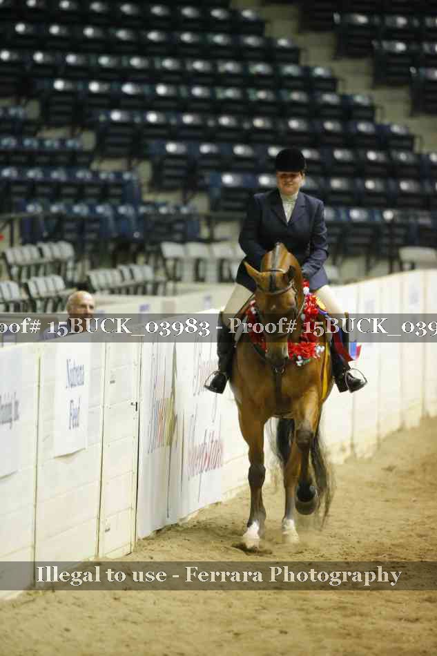 Proof 15BUCK_03983
