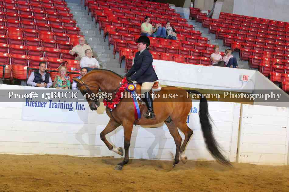 Proof 15BUCK_03985