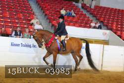 15BUCK_03985 proof