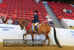 15BUCK_03986 proof