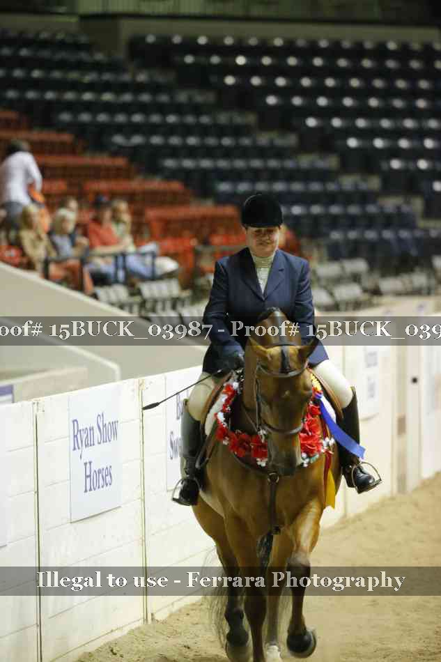 Proof 15BUCK_03987
