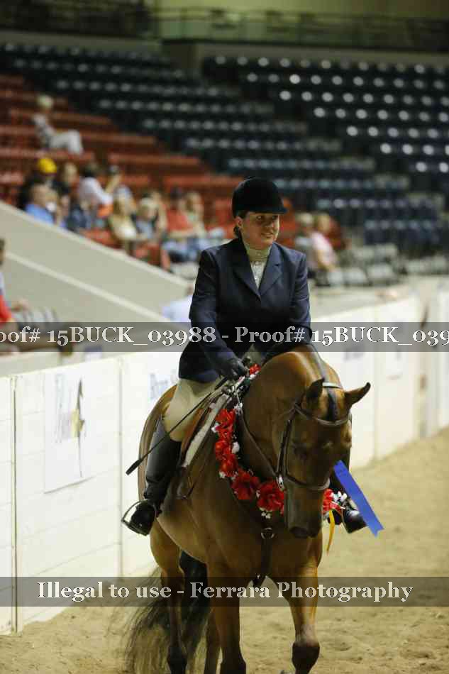 Proof 15BUCK_03988