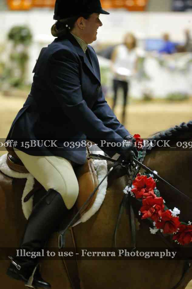 Proof 15BUCK_03989