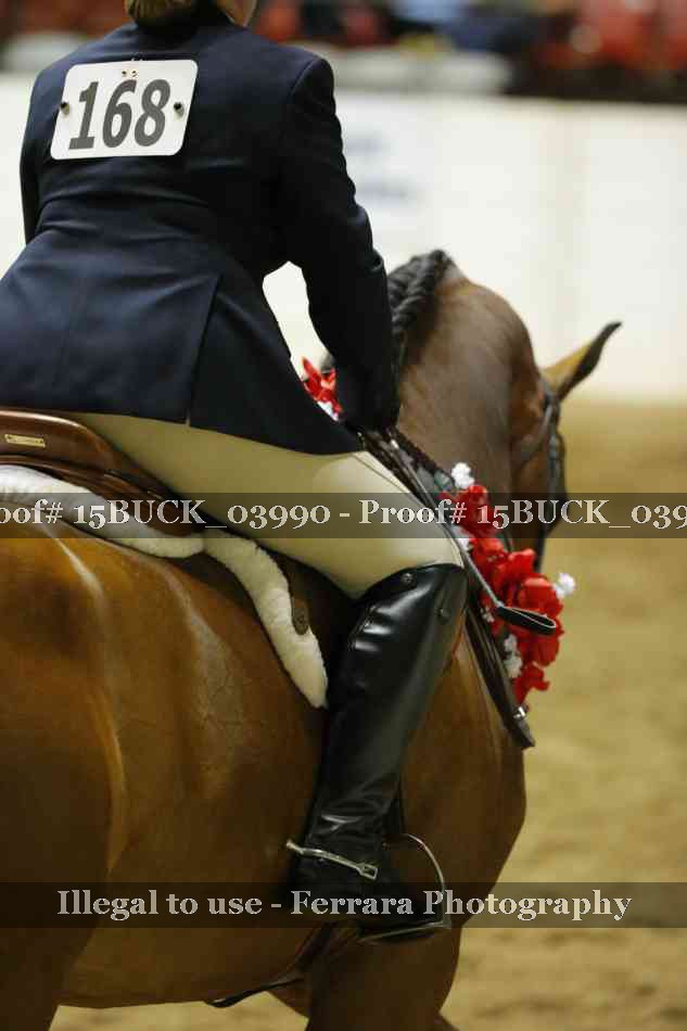 Proof 15BUCK_03990