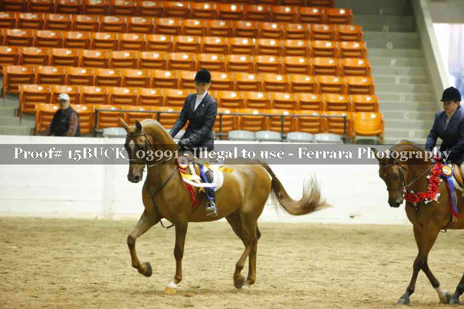 Proof 15BUCK_03991