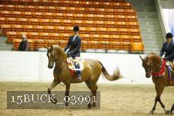 15BUCK_03991 proof