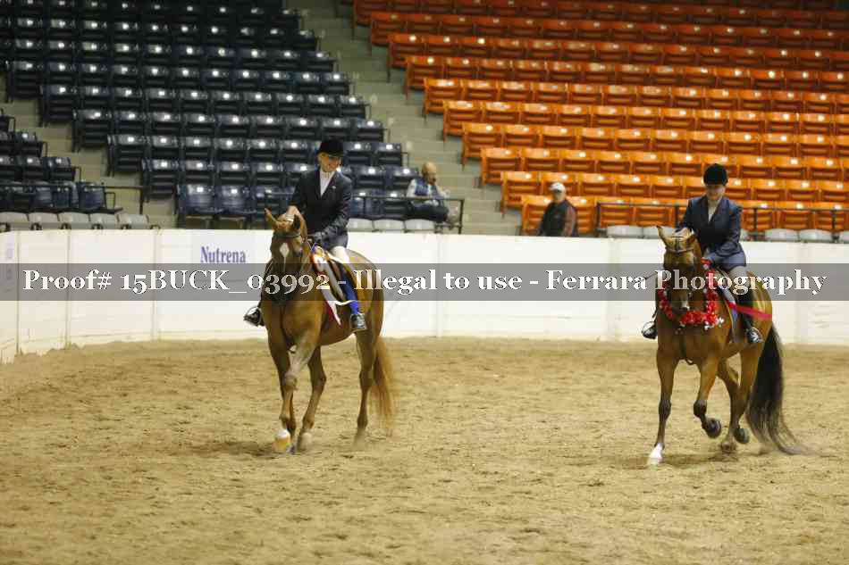 Proof 15BUCK_03992