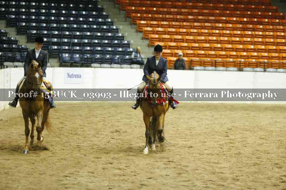 Proof 15BUCK_03993