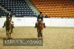 15BUCK_03993 proof