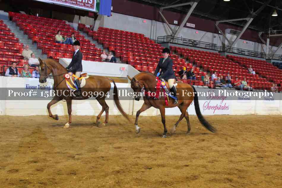 Proof 15BUCK_03994