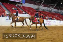 15BUCK_03994 proof