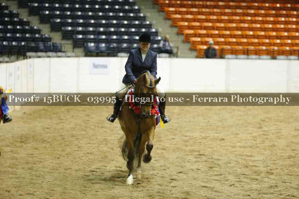 Proof 15BUCK_03995