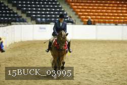 15BUCK_03995 proof