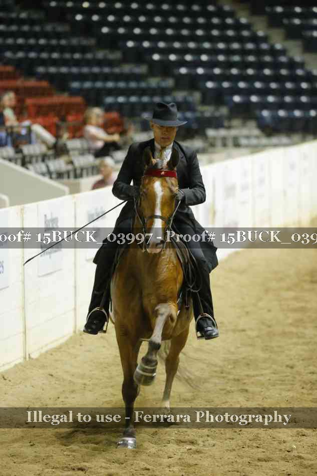 Proof 15BUCK_03997