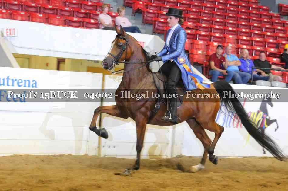 Proof 15BUCK_04002