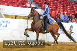 15BUCK_04002 proof