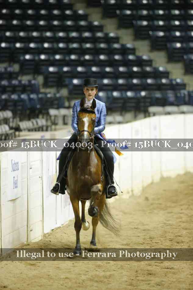 Proof 15BUCK_04003