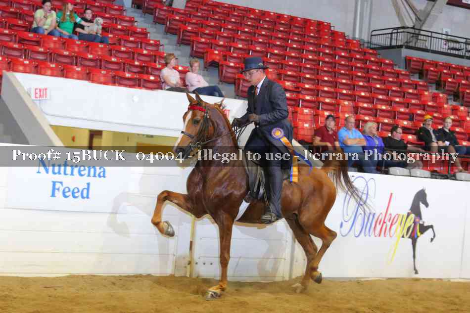 Proof 15BUCK_04004