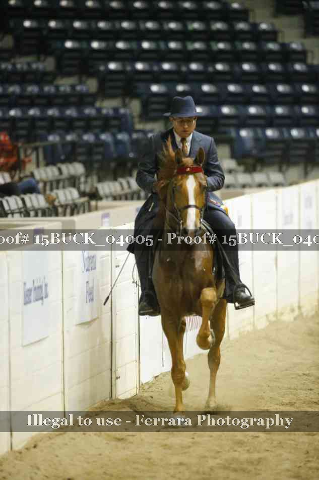 Proof 15BUCK_04005