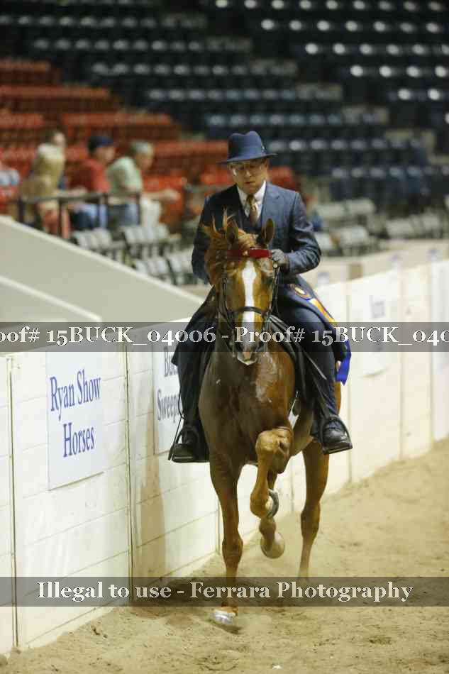 Proof 15BUCK_04006