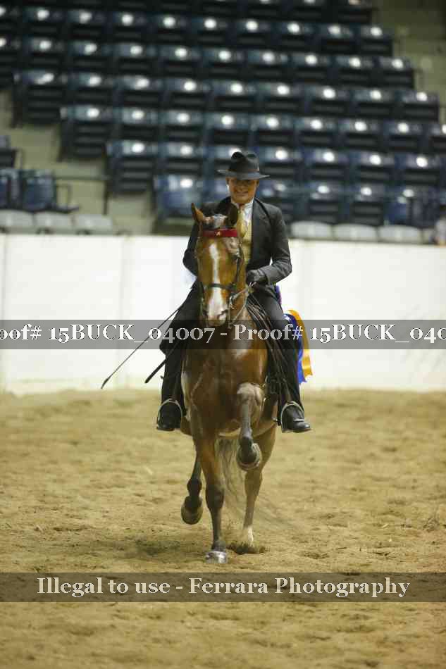 Proof 15BUCK_04007