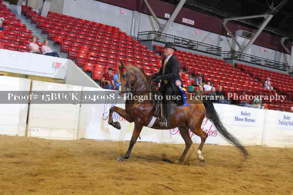 Proof 15BUCK_04008