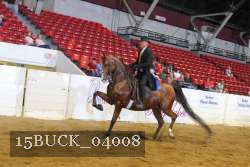 15BUCK_04008 proof