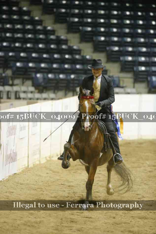 Proof 15BUCK_04009