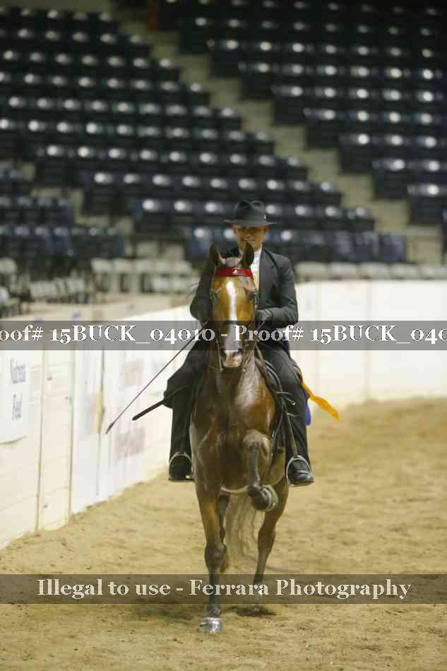 Proof 15BUCK_04010