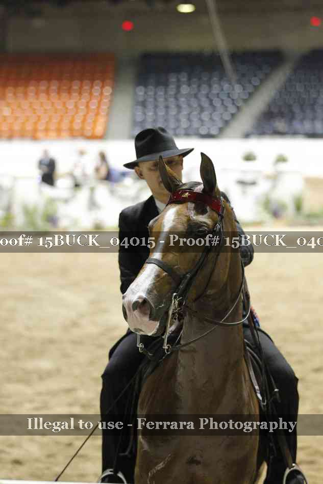 Proof 15BUCK_04015