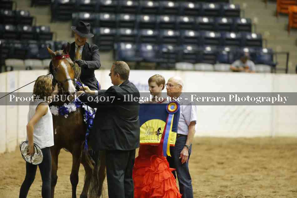 Proof 15BUCK_04017