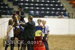 15BUCK_04017 proof