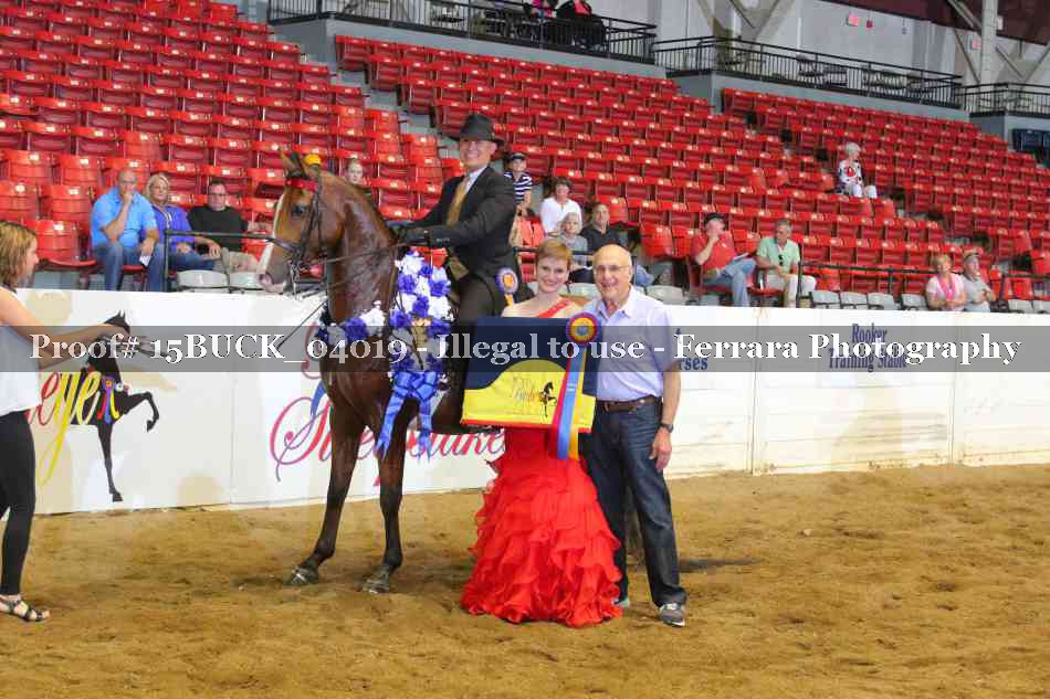 Proof 15BUCK_04019